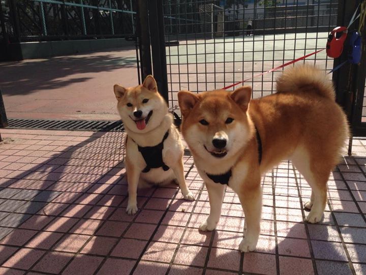 爱游戏体育官方入口-NBA未来城市巡回赛：推动篮球全球化的新动向，nba未来可期球员