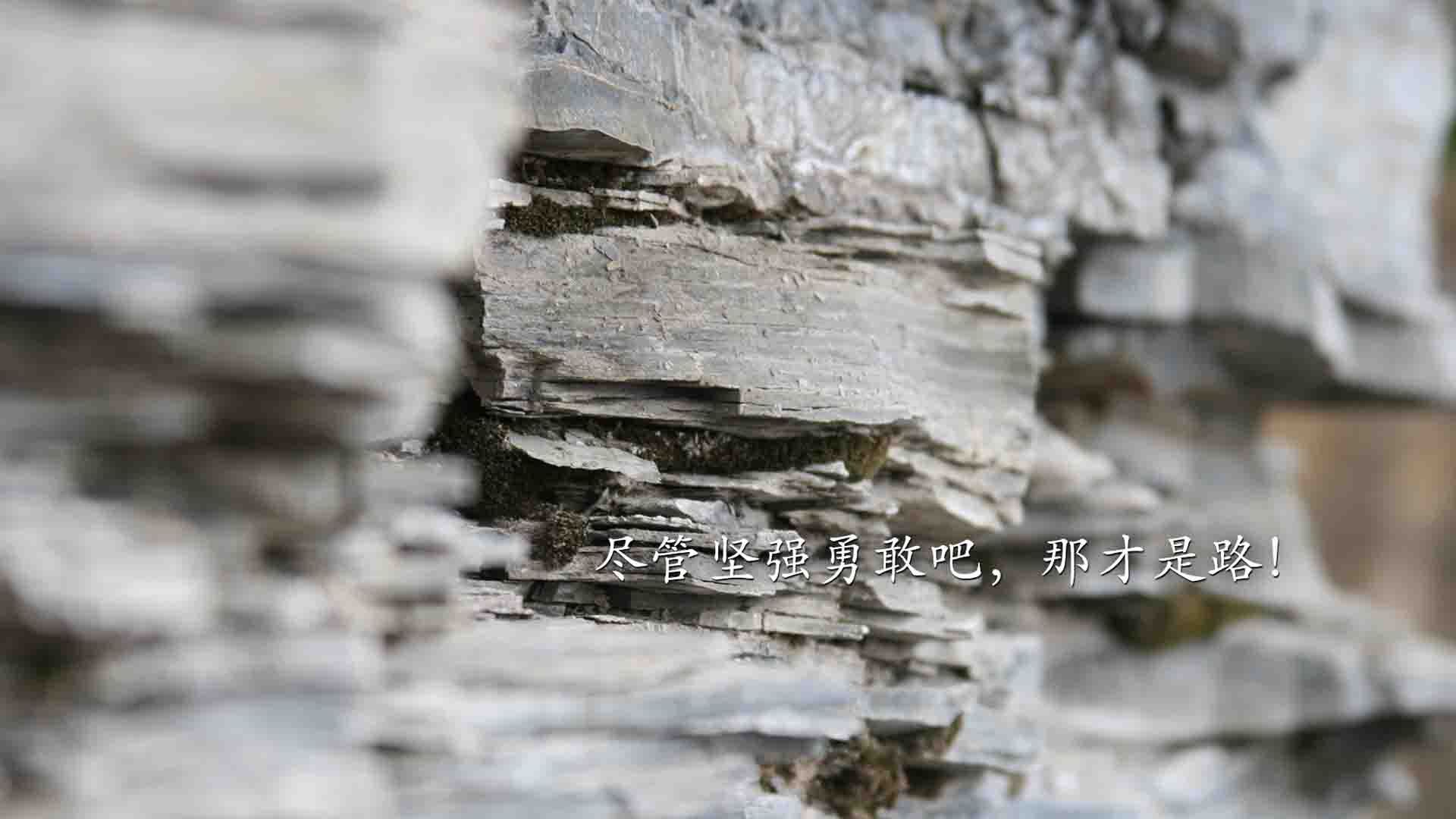 NBA未来：引入虚拟助手，把战术优化到极致，nba 未来人