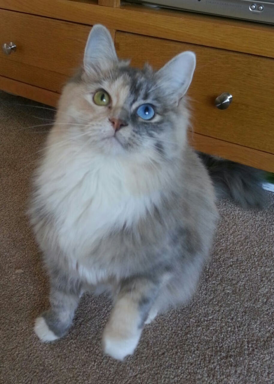 NBA球员在时尚周走秀成新趋势，场上场下皆焦点，nba球星走秀